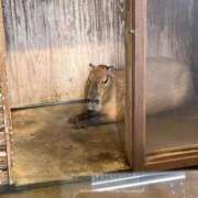 ヒメ日記 2025/10/13 14:32 投稿 ゆりな SPIN(スピン)