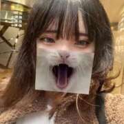 ヒメ日記 2025/11/01 13:40 投稿 ゆりな SPIN(スピン)