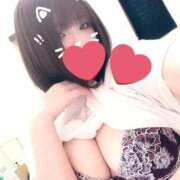 ヒメ日記 2025/12/29 03:30 投稿 ゆりな SPIN(スピン)