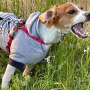 ヒメ日記 2026/04/01 14:35 投稿 ゆりな SPIN(スピン)