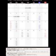 ヒメ日記 2025/09/10 22:18 投稿 更科 琥珀（こはく）