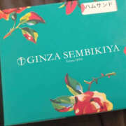 ヒメ日記 2025/09/16 14:11 投稿 更科 琥珀（こはく）