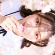 ヒメ日記 2026/04/23 07:51 投稿 更科 琥珀（こはく）