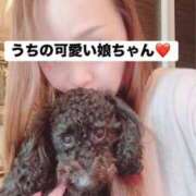 ヒメ日記 2025/11/21 01:52 投稿 乃愛(のあ) PLUS梅田店