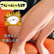 ヒメ日記 2026/03/08 13:12 投稿 乃愛(のあ) PLUS梅田店