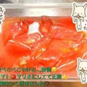 ヒメ日記 2026/04/08 02:52 投稿 乃愛(のあ) PLUS梅田店