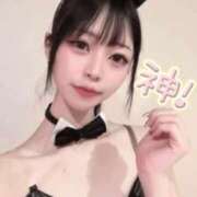 ヒメ日記 2026/02/14 15:00 投稿 シュウカ ドMなバニーちゃん大宮店