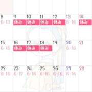 ヒメ日記 2025/12/01 22:54 投稿 いつき 桃李（とうり）