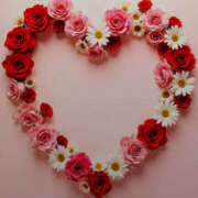 ヒメ日記 2026/01/17 13:31 投稿 れんか 熟女の風俗最終章 本厚木店