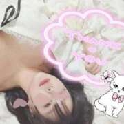 ヒメ日記 2026/02/17 06:32 投稿 いちあ 香川サンキュー