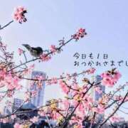 ヒメ日記 2026/03/30 04:42 投稿 いちあ 香川サンキュー