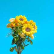 ヒメ日記 2025/09/07 12:03 投稿 瑞音みほな お姉さんCLUB