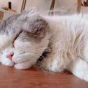 ヒメ日記 2025/09/08 00:51 投稿 瑞音みほな お姉さんCLUB