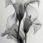 ヒメ日記 2025/09/11 13:03 投稿 瑞音みほな お姉さんCLUB