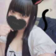 ゆず 飼ってくれる🐱？ れもんガールズ