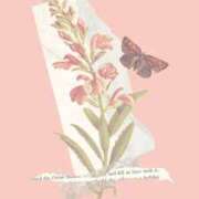 ヒメ日記 2025/09/07 19:35 投稿 大森　さよ ギン妻パラダイス 谷九店