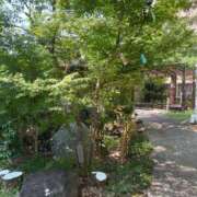 ヒメ日記 2025/09/17 14:18 投稿 大森　さよ ギン妻パラダイス 谷九店