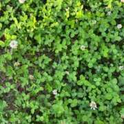 ヒメ日記 2025/09/21 20:58 投稿 大森　さよ ギン妻パラダイス 谷九店