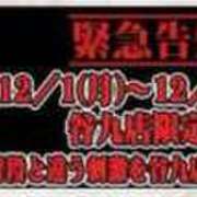 ヒメ日記 2025/11/30 14:28 投稿 大森　さよ ギン妻パラダイス 谷九店