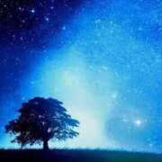 ヒメ日記 2025/09/11 11:03 投稿 里穂 出会い系人妻ネットワーク 上野〜大塚編