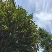 ヒメ日記 2025/10/01 14:28 投稿 ななせ 熟女の風俗最終章 沼津店