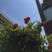 ヒメ日記 2025/10/01 19:08 投稿 ななせ 熟女の風俗最終章 沼津店