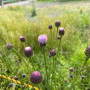ヒメ日記 2025/10/06 16:37 投稿 ななせ 熟女の風俗最終章 沼津店