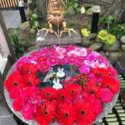 ヒメ日記 2025/10/23 17:08 投稿 ななせ 熟女の風俗最終章 沼津店