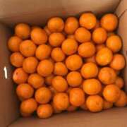 ヒメ日記 2025/10/25 21:38 投稿 ななせ 熟女の風俗最終章 沼津店