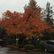 ヒメ日記 2025/11/17 16:28 投稿 ななせ 熟女の風俗最終章 沼津店