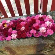 ななせ 夕暮れの… 熟女の風俗最終章 沼津店