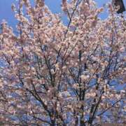 ヒメ日記 2025/12/17 16:43 投稿 ななせ 熟女の風俗最終章 沼津店