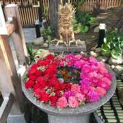 ななせ 今回も 熟女の風俗最終章 沼津店