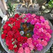 ななせ そっか金曜日か(๑º△º๑;)!! 熟女の風俗最終章 沼津店