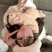 ヒメ日記 2025/12/31 15:04 投稿 りの★18歳アイドル系新卒娘★ 渋谷S級素人清楚系デリヘル chloe