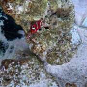 ヒメ日記 2025/09/27 22:22 投稿 りお ごほうびSPA名古屋店