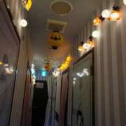 ゆん ハロウィンナイト ラズベリードール