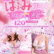 すみれ 甘えたいお兄さん限定🚼 One More奥様　横浜関内店