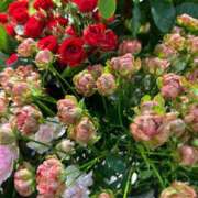 ヒメ日記 2025/09/18 06:59 投稿 りおな 丸妻 横浜本店