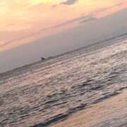 ヒメ日記 2025/09/18 08:43 投稿 りおな 丸妻 横浜本店