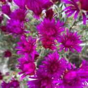 ヒメ日記 2025/09/19 14:02 投稿 りおな 丸妻 横浜本店