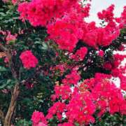 ヒメ日記 2025/09/23 08:37 投稿 りおな 丸妻 横浜本店