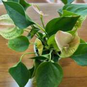 ヒメ日記 2025/10/01 11:08 投稿 りおな 丸妻 横浜本店