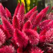 ヒメ日記 2025/10/29 04:13 投稿 りおな 丸妻 横浜本店