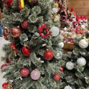 ヒメ日記 2025/11/01 05:30 投稿 りおな 丸妻 横浜本店