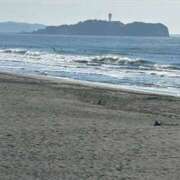 ヒメ日記 2025/11/03 09:31 投稿 りおな 丸妻 横浜本店