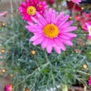 ヒメ日記 2025/11/06 08:29 投稿 りおな 丸妻 横浜本店