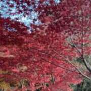 ヒメ日記 2025/11/10 08:49 投稿 りおな 丸妻 横浜本店