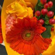 ヒメ日記 2025/11/13 16:22 投稿 りおな 丸妻 横浜本店