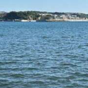 ヒメ日記 2025/11/26 14:23 投稿 りおな 丸妻 横浜本店